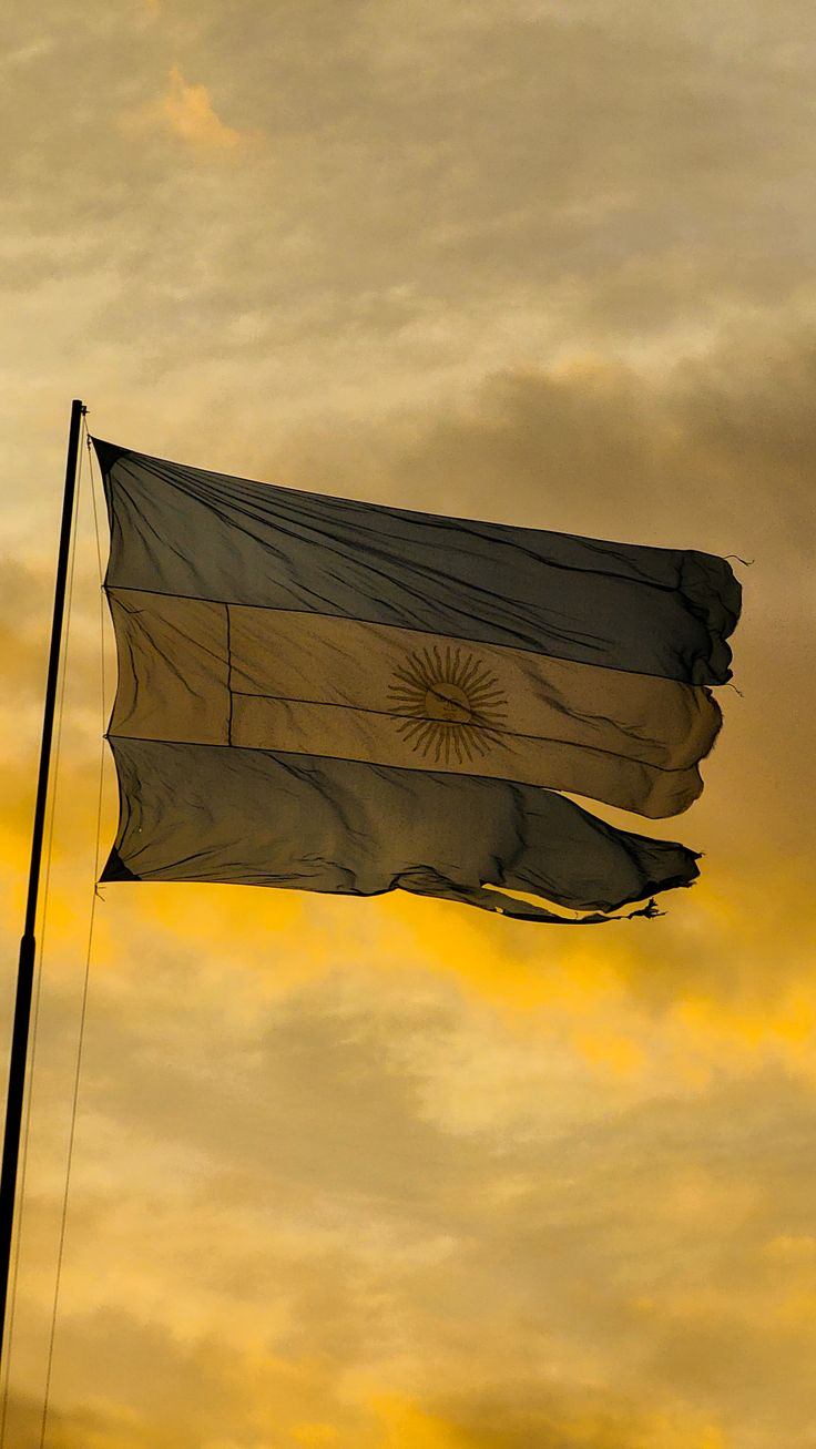 Patria ajena