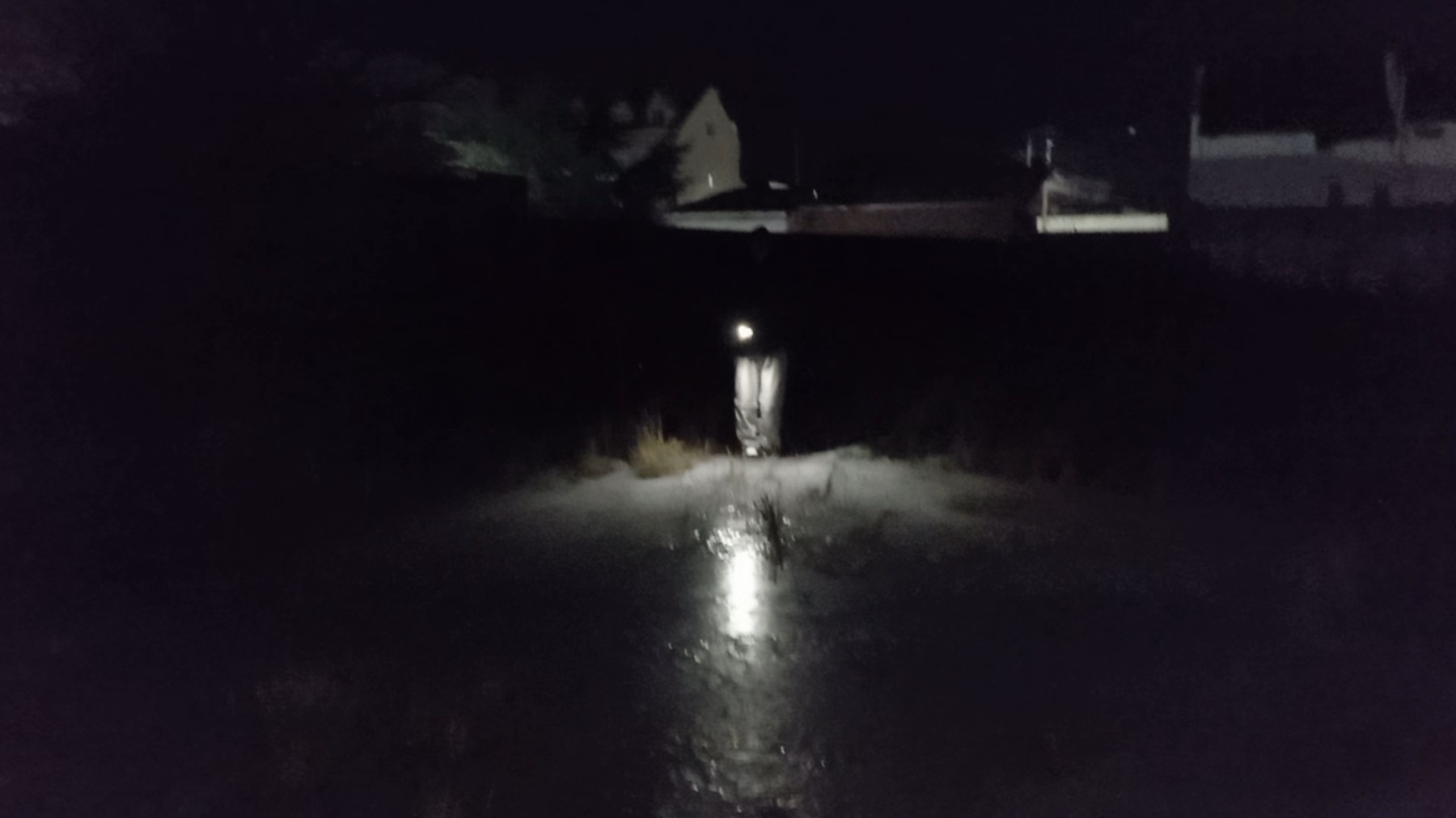búsqueda invernal