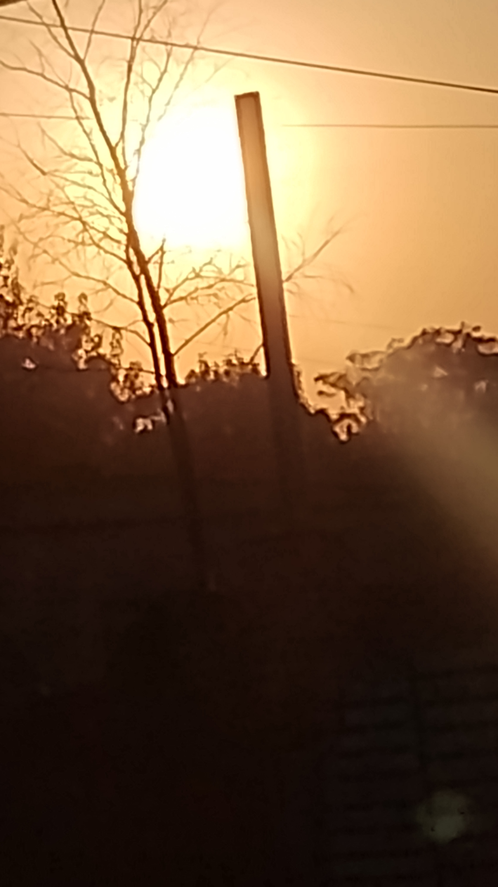 OSCURAS LUCES