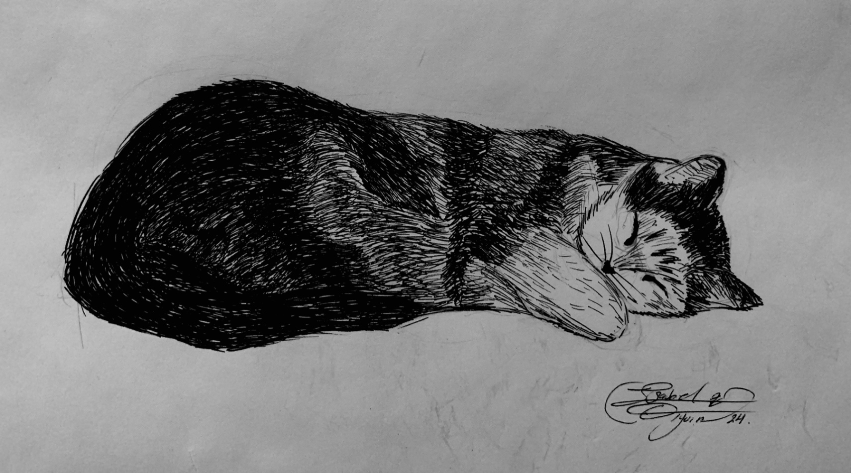 Gata Napolitana.