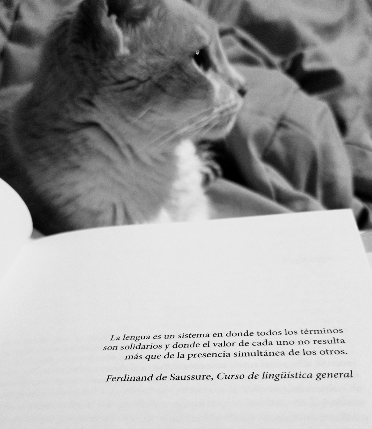 Tengo una cantidad absurda de cuadernos