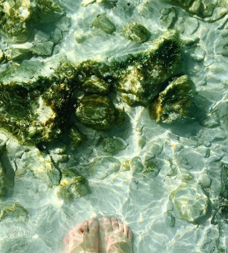 Júlia Garriga cover img