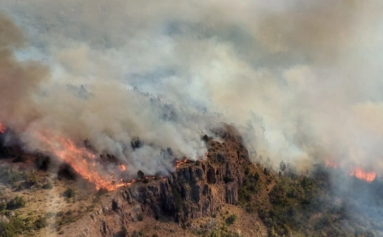 El Incendio en el Parque Nacional Los Alerces: Una Crisis