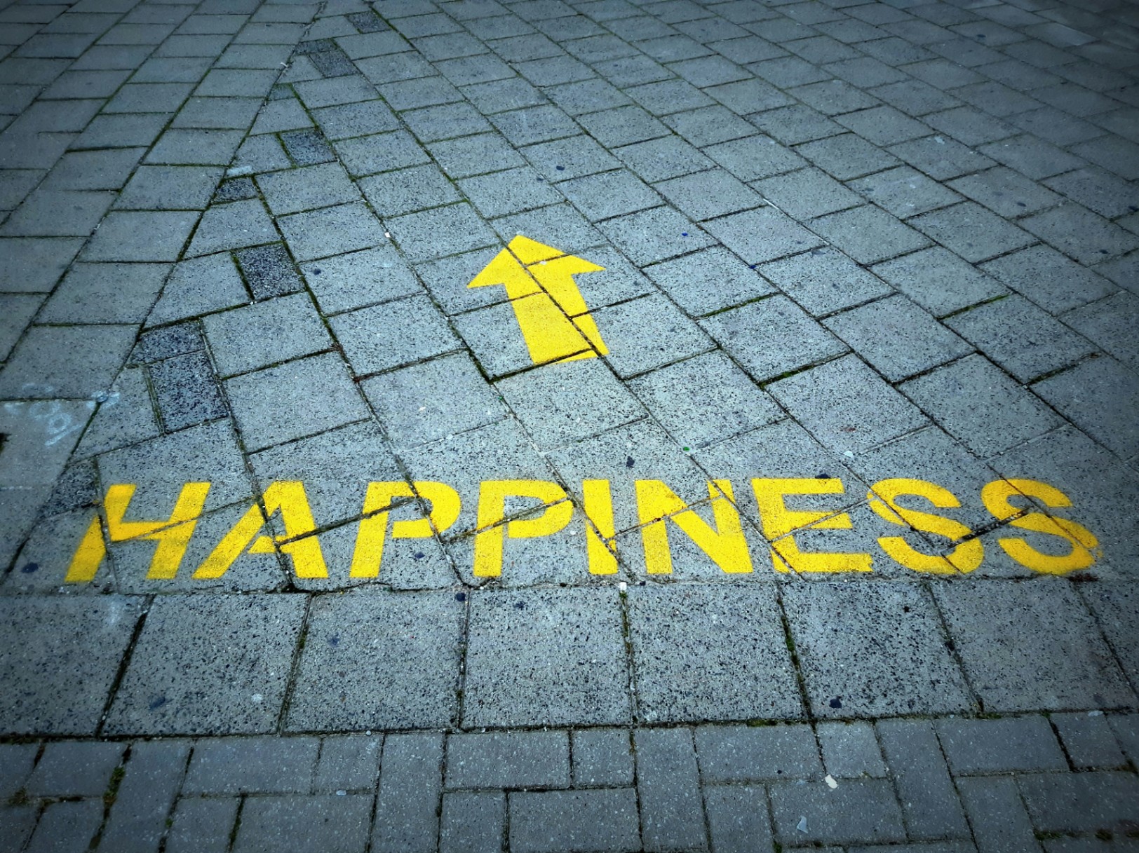 ¿Qué es la felicidad?