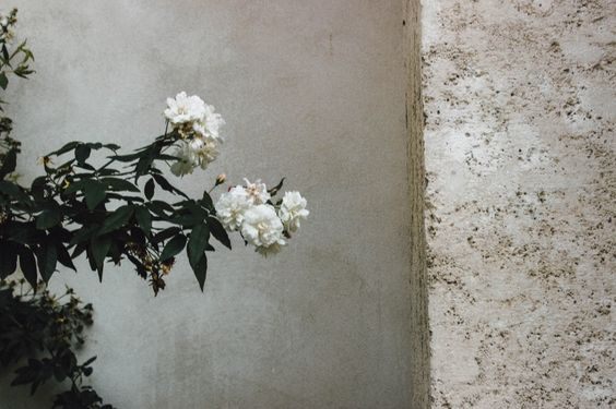 domingo de melancolía barata