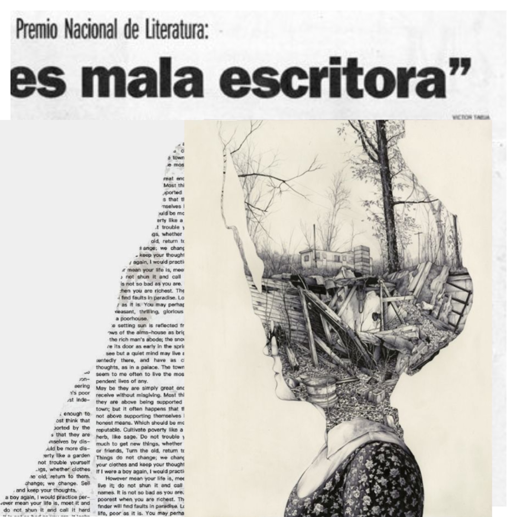 Diario de una Mala Escritora