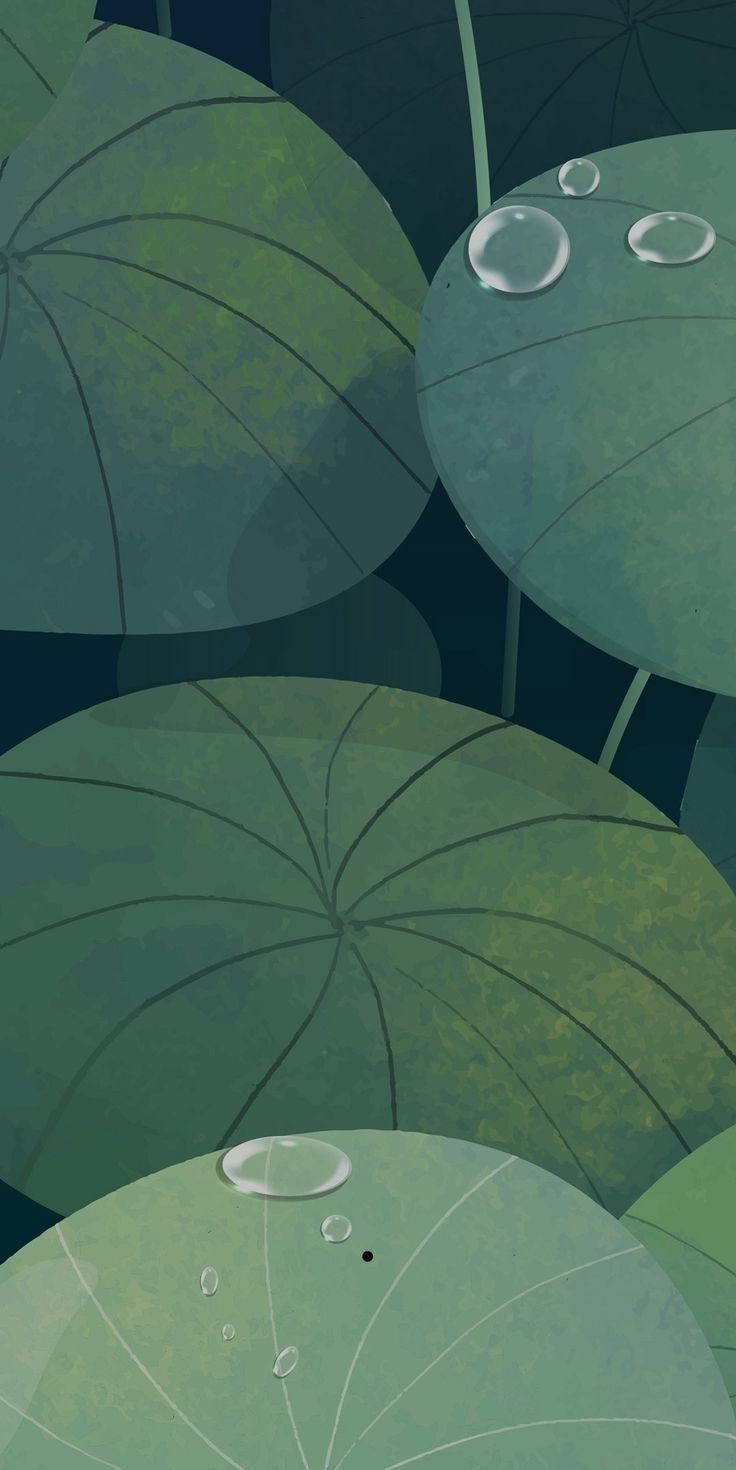 Elly cover img