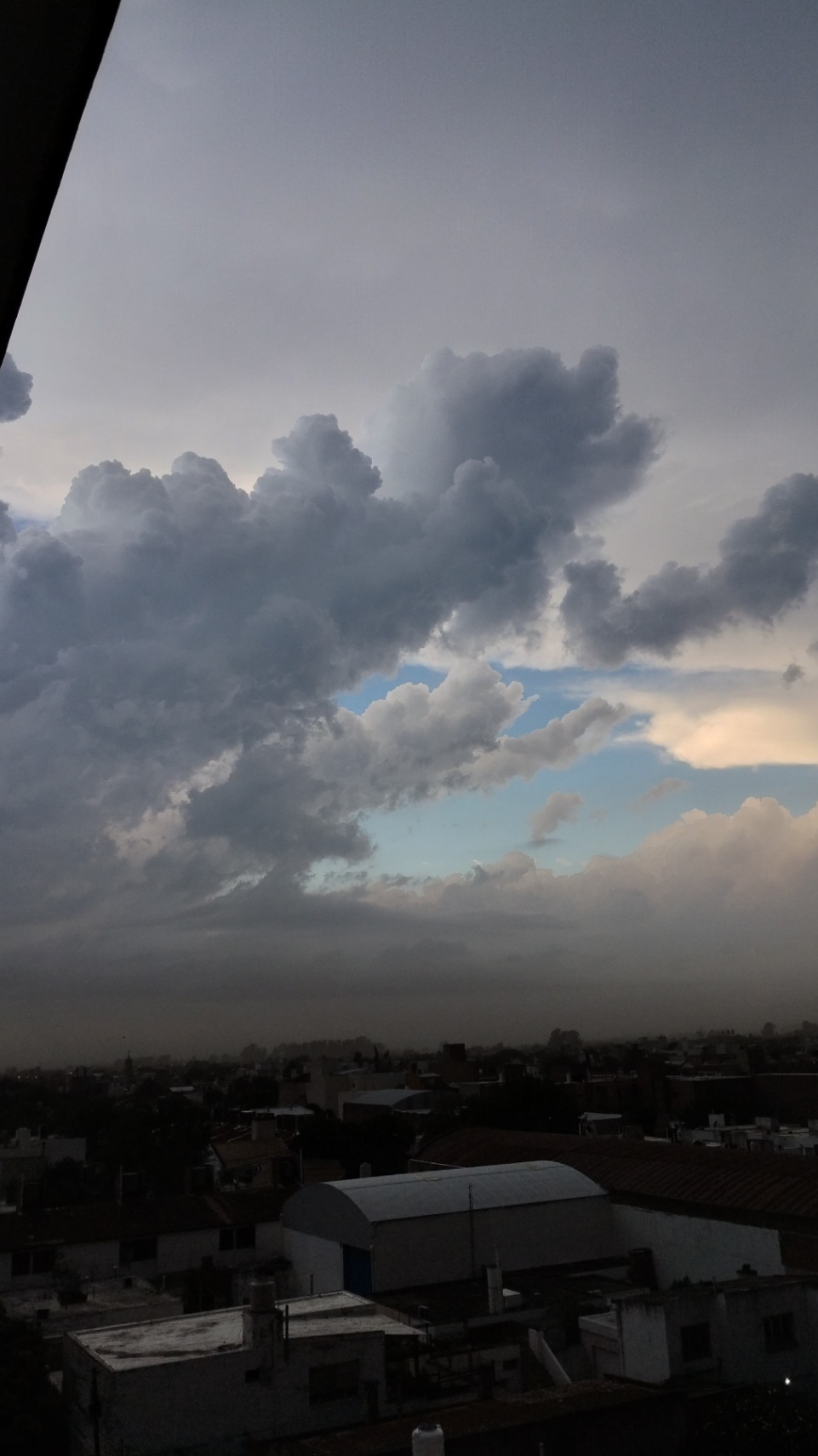 Maria Luz  cover img