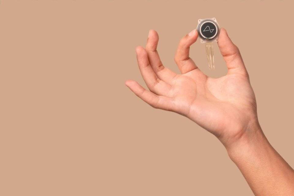 Distopías y filosofías de la mano del "Neuralink" de Elon Musk.