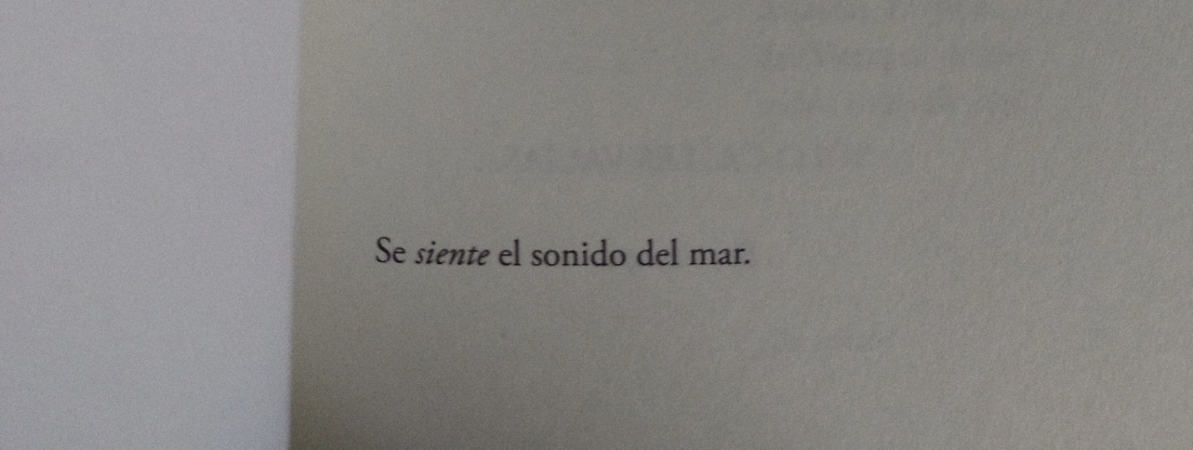 Nicole Guzmán  cover img